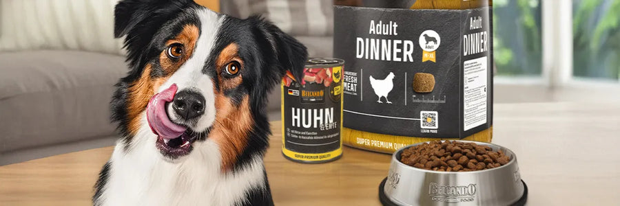 BELCANDO® Adult Dogs