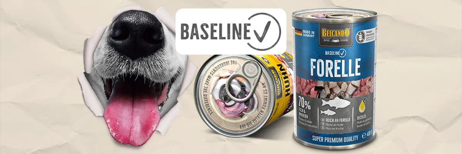BELCANDO® Baseline Wet Food