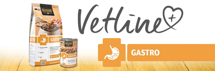 BELCANDO® Gastro