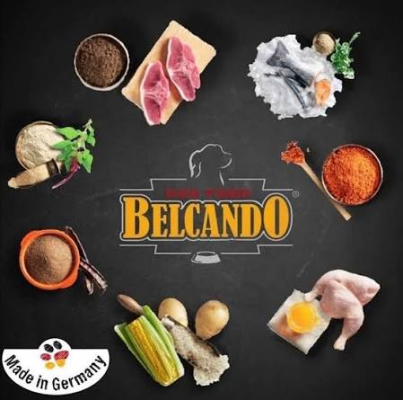 BELCANDO®