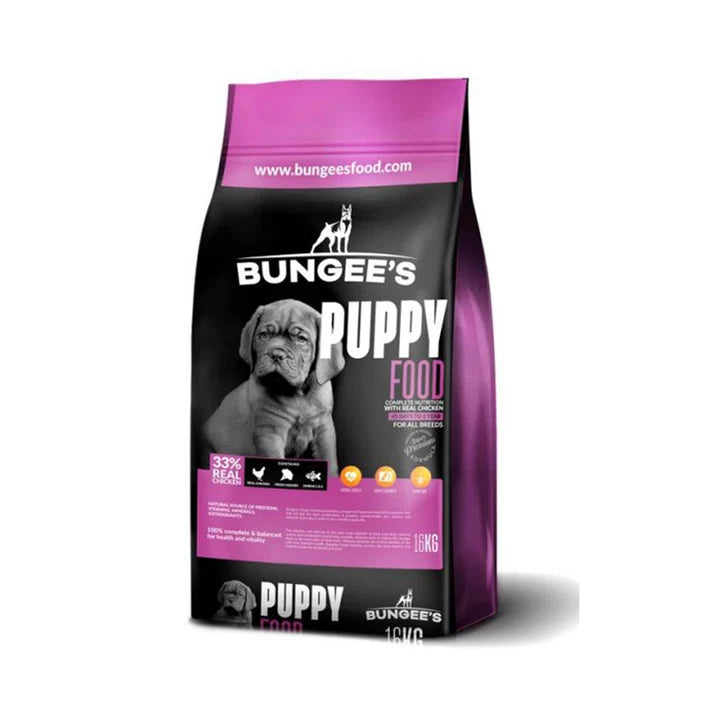 Bungee’s Puppy
