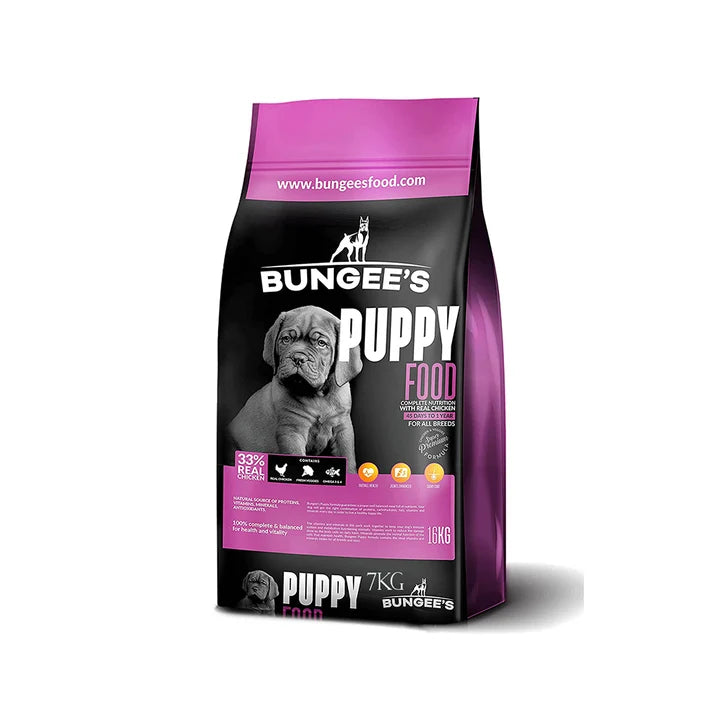 Bungee’s Puppy