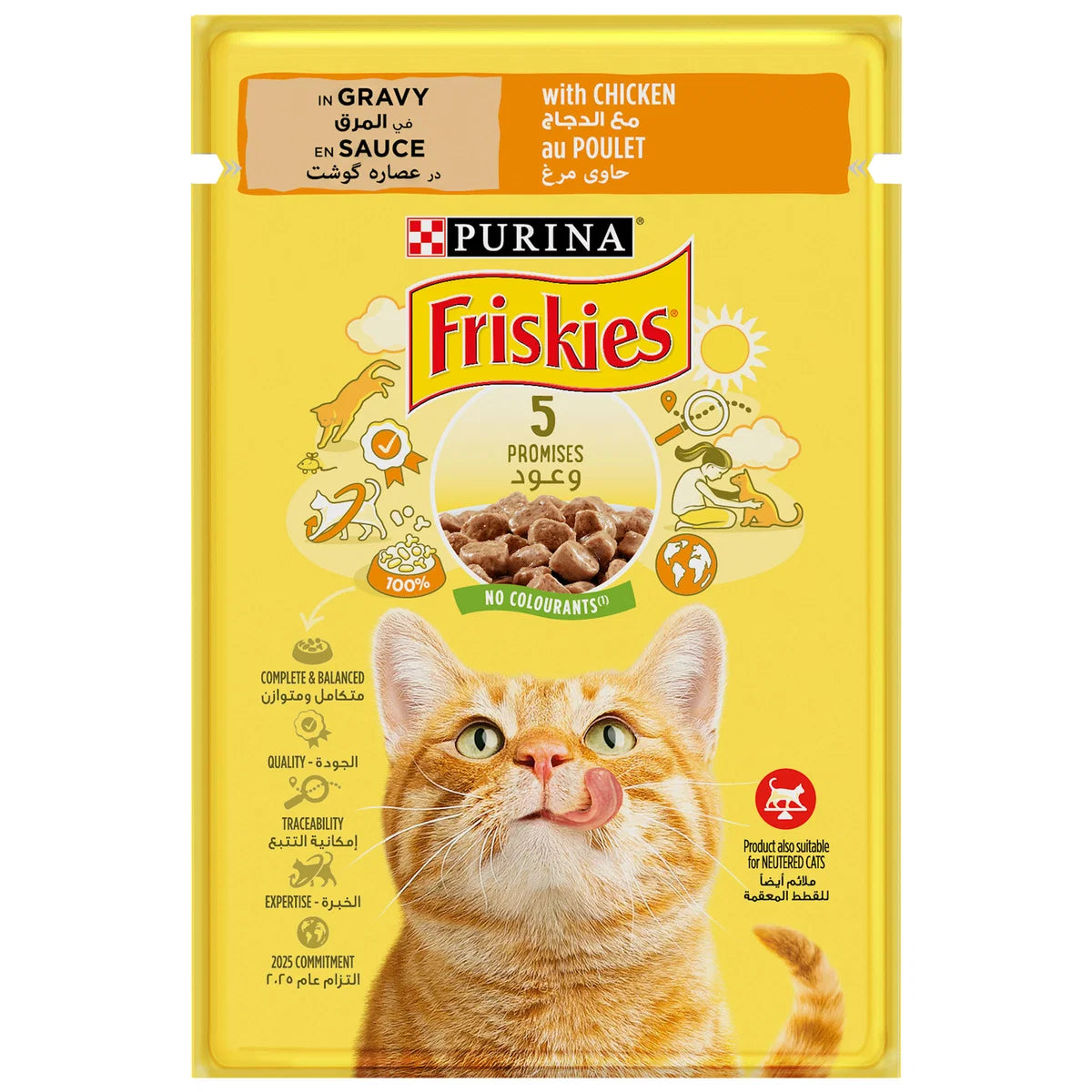 Purina Friskies Chunks in Gravy Pouch 85g
