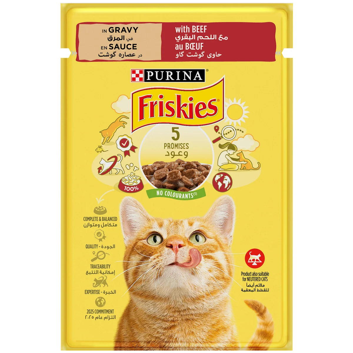 Purina Friskies Chunks in Gravy Pouch 85g