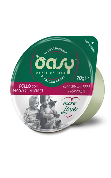 Oasy Adult Cat wet Food 70g