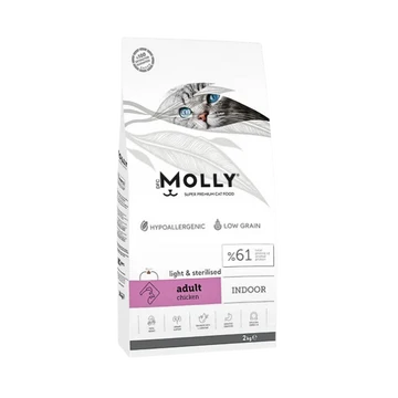 Molly Adult Cat