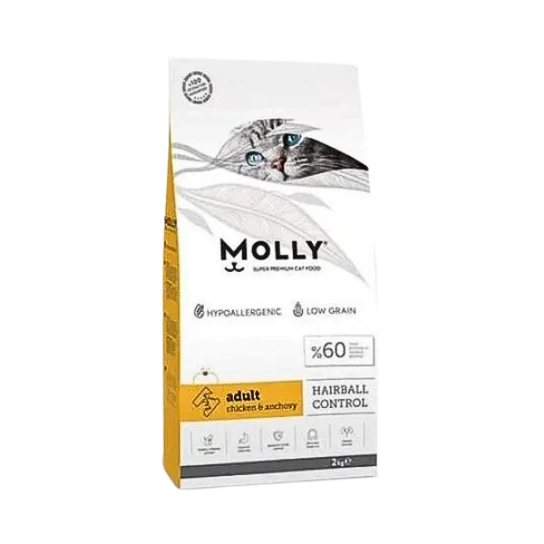 Molly Adult Cat