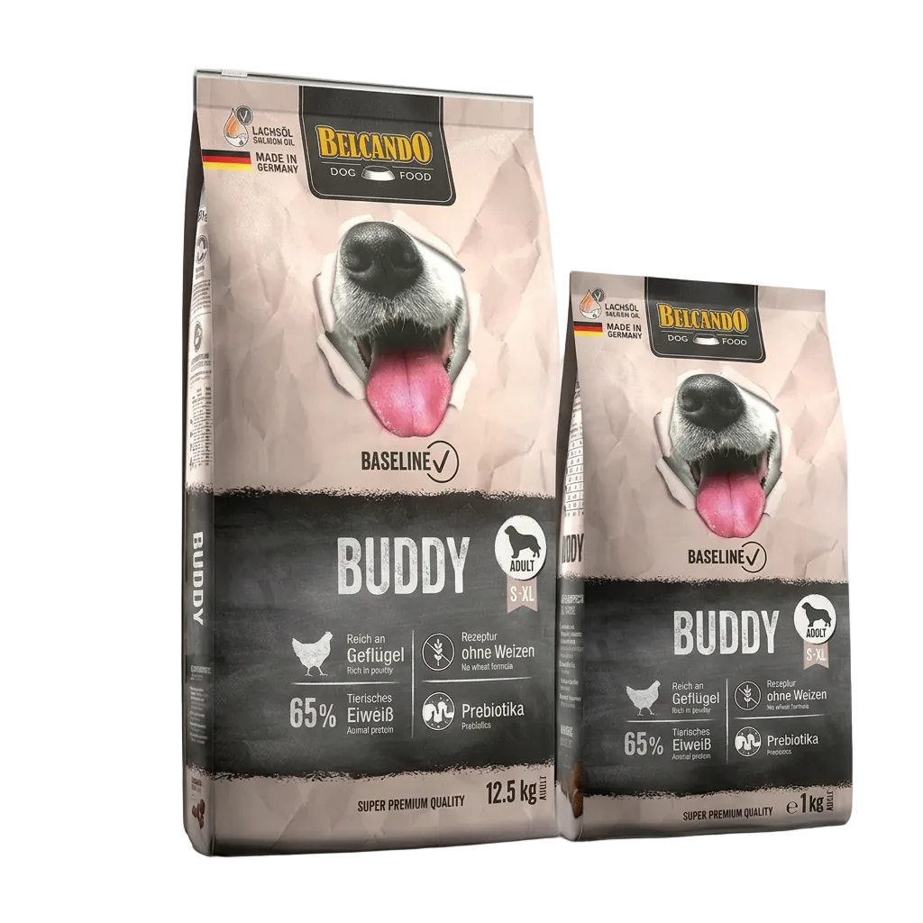 BELCANDO Buddy group rebuilt from individual photos