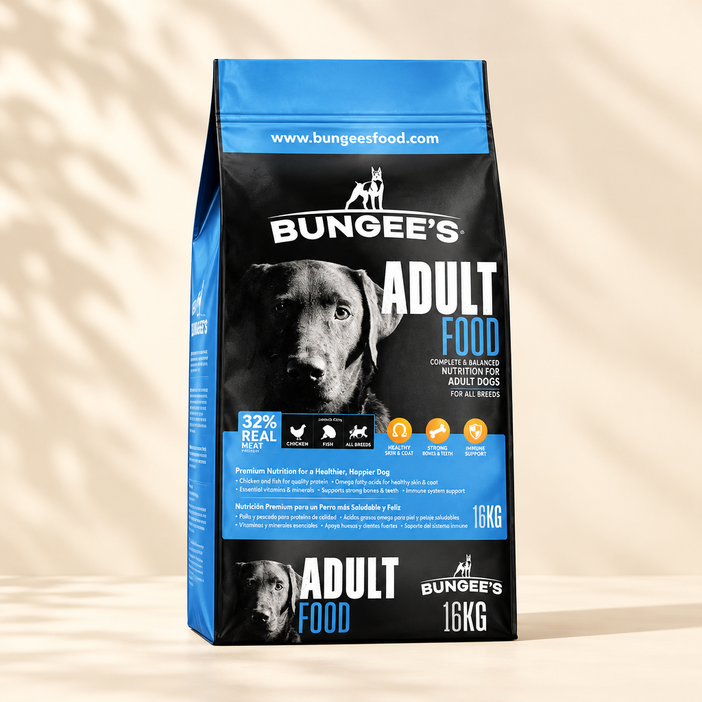 Bungee’s Adult