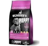 Bungee’s Puppy