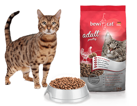 BEWI CAT Adult FISH