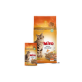 Mito Adult Cat