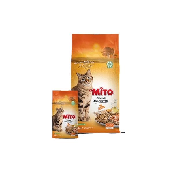 Mito Adult Cat