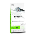Molly Adult Cat