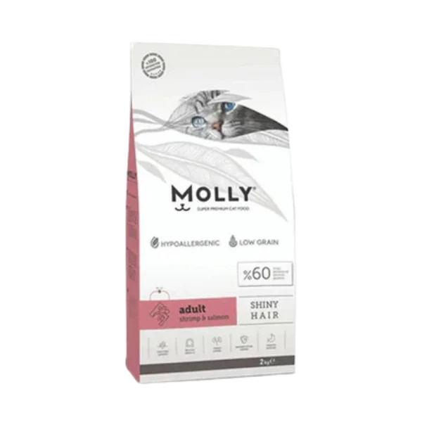 Molly Adult Cat