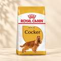 Royal Canin Cocker Adult photo preview