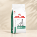 Royal Canin Diabetic Canine photo preview