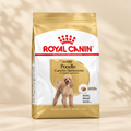 Royal Canin Poodle Adult photo preview