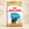 Royal Canin Yorkshire Terrier Puppy photo preview